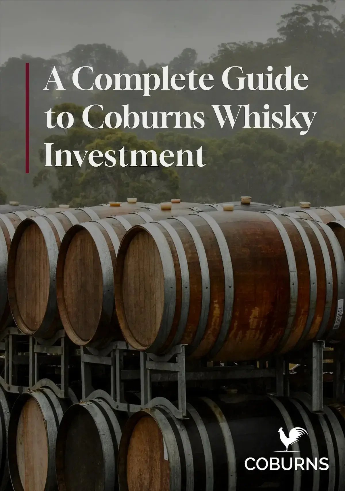 Guide-to-Coburns-Whisky-Investment-cover-41415768-c5a8af8c